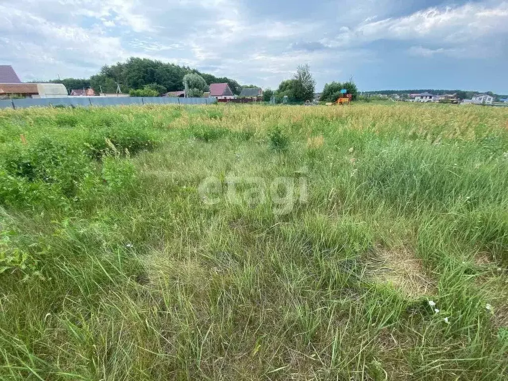Участок в Калужская область, Дзержинский район, с. Дворцы ул. Дальняя ... - Фото 2