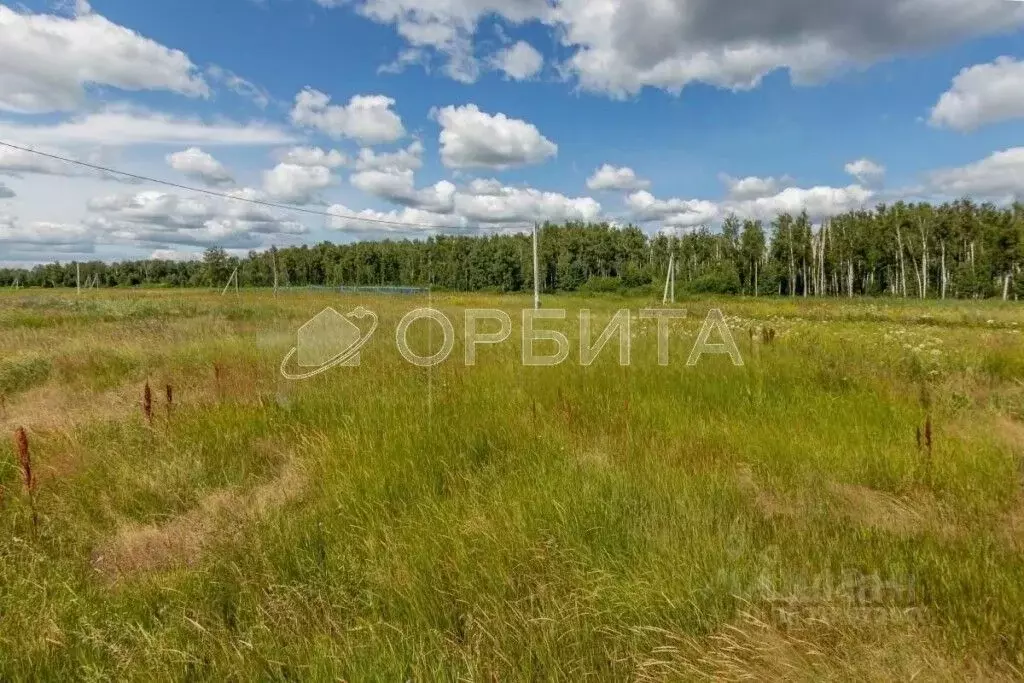 Участок в Тюменская область, Тюменский район, Дачи Хюгге ДНТ  (4080.0 ... - Фото 1