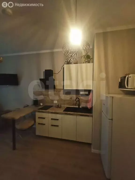 Квартира-студия: посёлок Шушары, улица Нины Петровой, 10к1 (22.4 м) - Фото 1