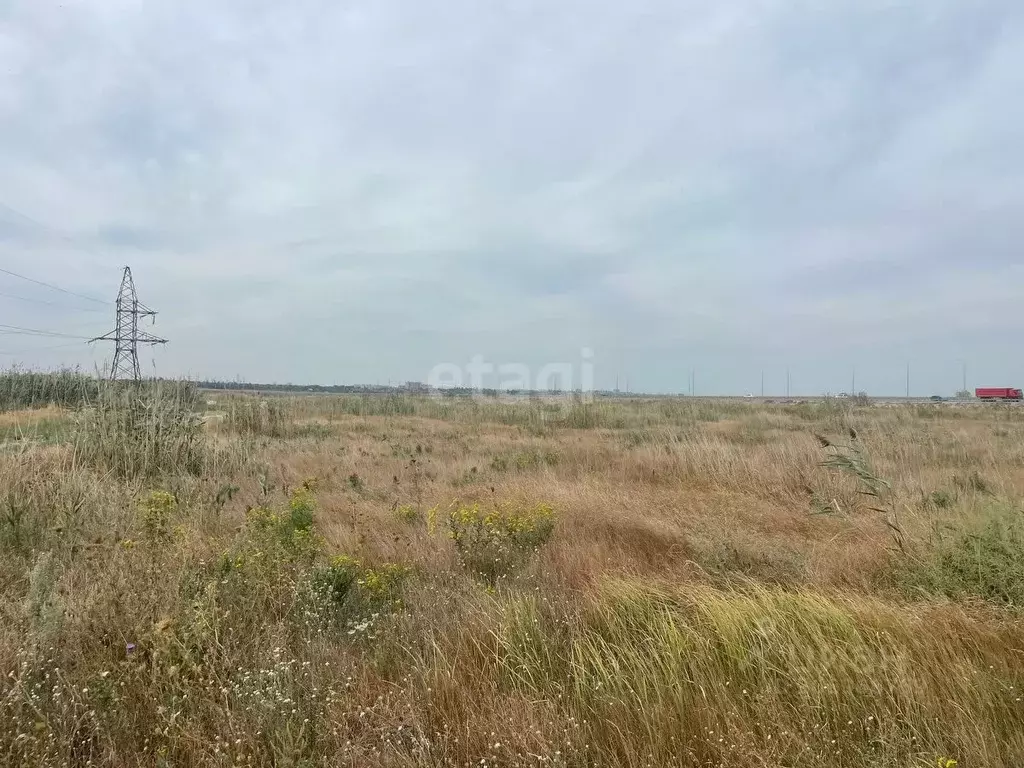 участок в ростовская область, азовский район, новоалександровка хут. . - Фото 1