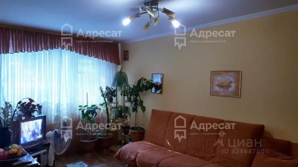3-к кв. Волгоградская область, Волгоград ул. 64-й Армии, 77 (54.2 м) - Фото 2