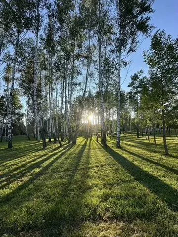 Участок 16 сот. (ИЖС) - Фото 0