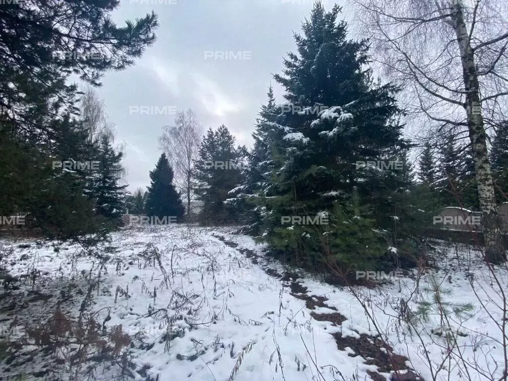 Участок в Московская область, Одинцовский городской округ, д. Лапино, ... - Фото 1