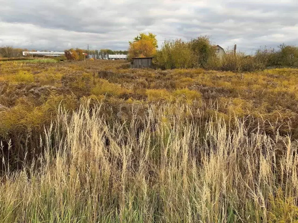 Участок в Брянская область, Брянский район, Добрунское с/пос, д. ... - Фото 1