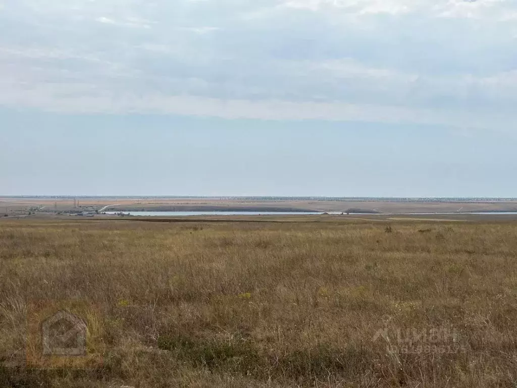 Участок в Крым, Черноморский район, с. Новоивановка  (800.0 сот.) - Фото 0