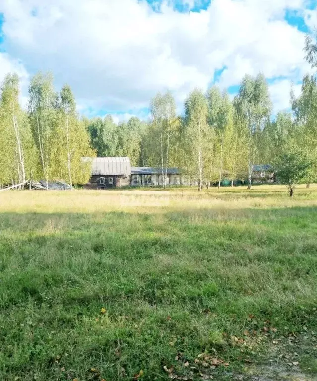 Участок в Нижегородская область, Воротынский муниципальный округ, с. ... - Фото 1