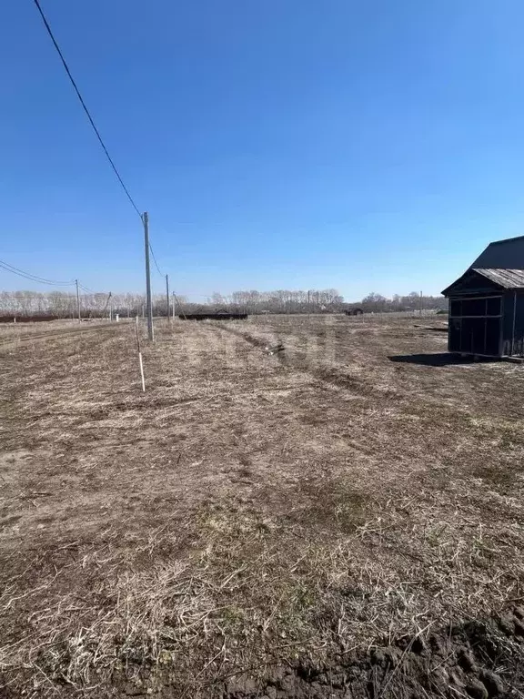 Участок в Новосибирская область, Новосибирский район, Морской ... - Фото 0