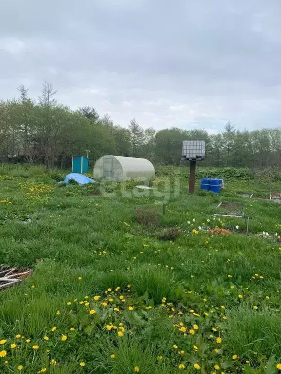 Участок в Сахалинская область, Холмский городской округ, с. Совхозное ... - Фото 0