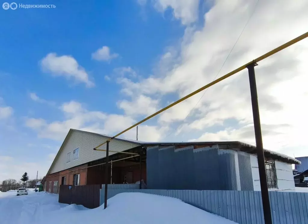 Дом в Болотное, Кустарная улица, 28 (100 м) - Фото 2