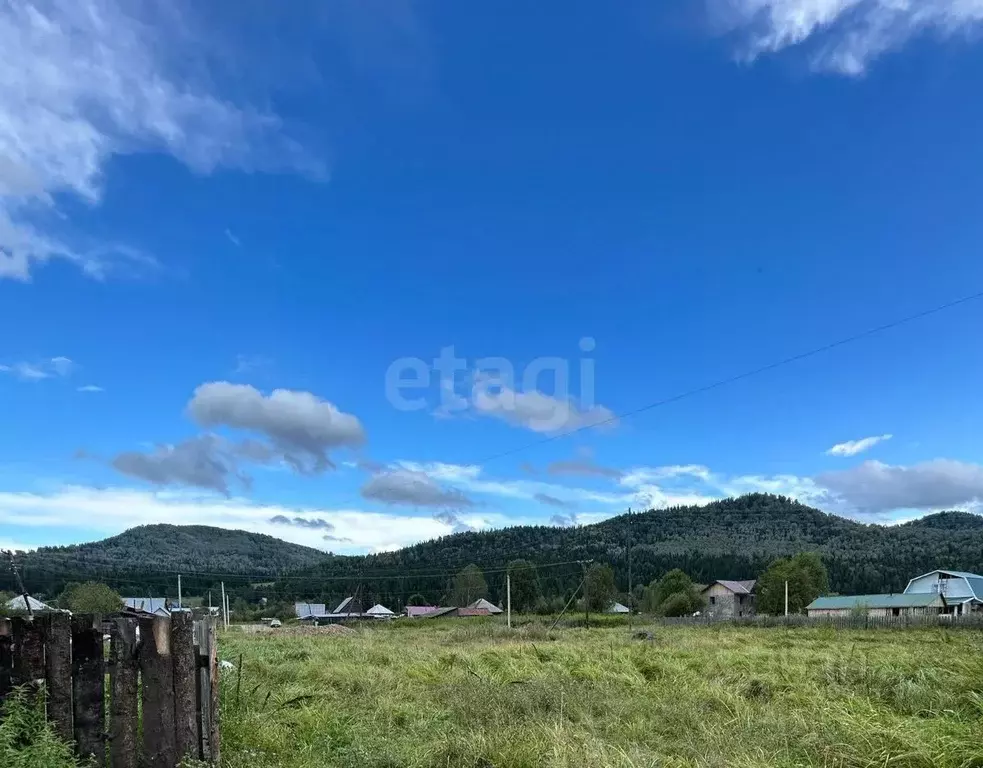 Участок в Алтай, с. Чоя ул. Молодежная, 10Б (12.0 сот.) - Фото 1