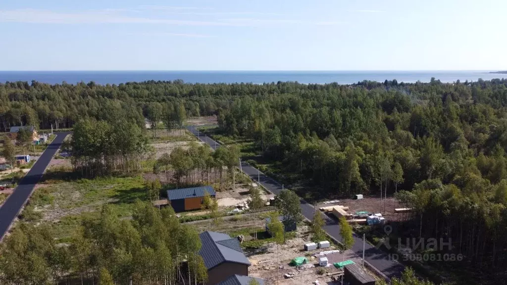 Участок в Ленинградская область, Всеволожский район, Рахьинское ... - Фото 1