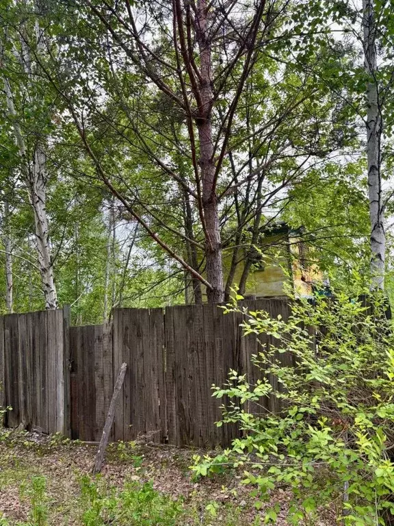 Участок в Амурская область, Благовещенский район, с. Чигири ... - Фото 1