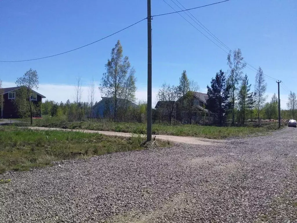 Участок в Ленинградская область, Всеволожский район, Колтушское ... - Фото 2