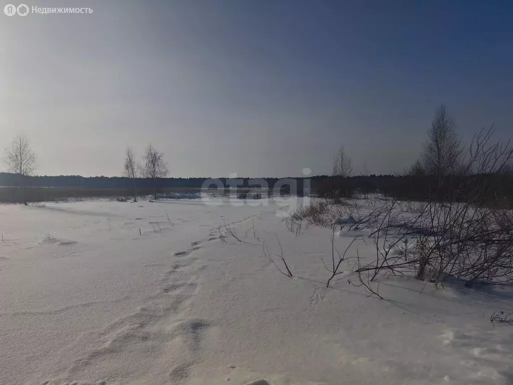 Участок в Курган, СНТ Мостовик, 14-я улица (5 м) - Фото 2