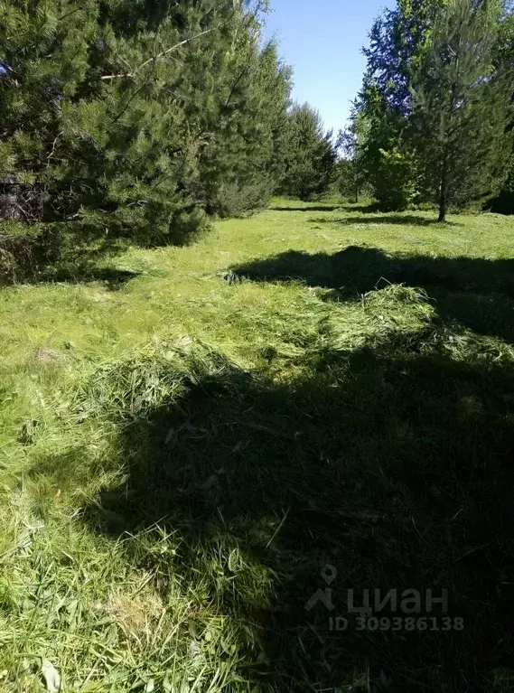 Участок в Московская область, Наро-Фоминский городской округ, д. ... - Фото 1