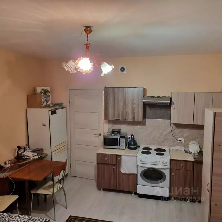 Студия Санкт-Петербург Пулковское ш., 73к3 (24.0 м) - Фото 1