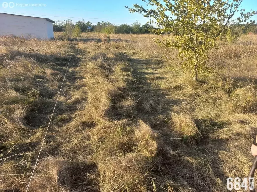 Участок в Ольгинское сельское поселение, садоводческое товарищество ... - Фото 0