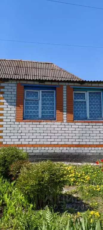 Дом в Брянская область, Выгоничское городское поселение, с. Лопушь ул. ... - Фото 0