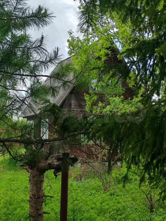 Дача 30 м на участке 6,6 сот. - Фото 1