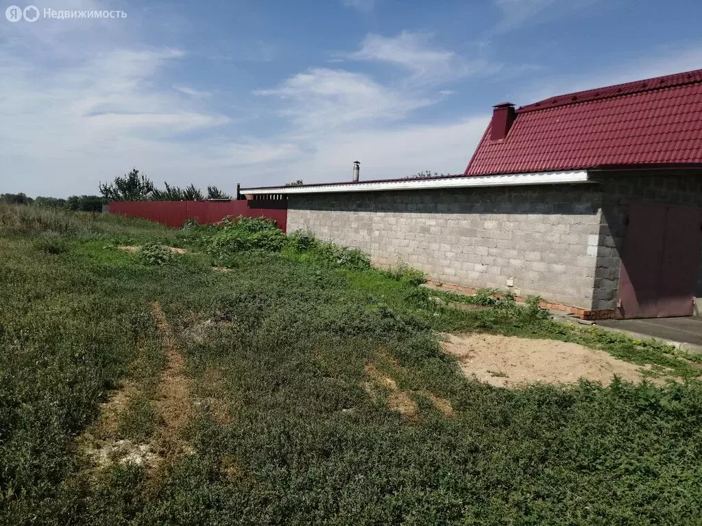 Участок в Беляевский район, Ключевский сельсовет, село Старицкое (12 ... - Фото 0