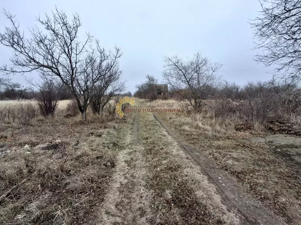 Участок в Краснодарский край, Ейск Весна садоводческое товарищество,  ... - Фото 1