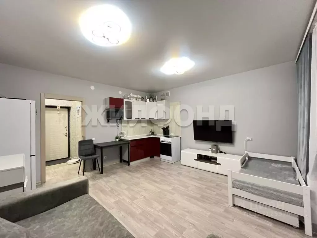 1-к кв. Новосибирская область, Новосибирск ул. Заслонова, 13/7 (26.9 ... - Фото 1