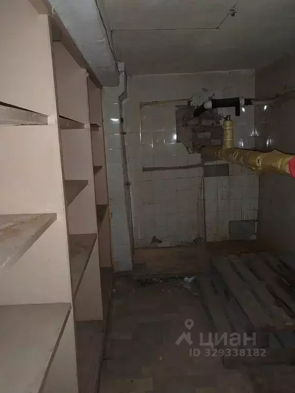 Помещение свободного назначения в Воронежская область, Воронеж ... - Фото 2