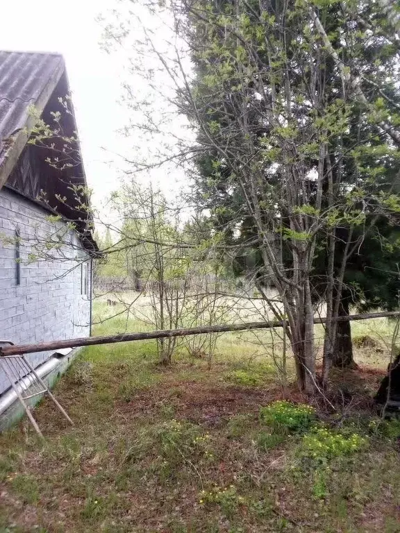 Дом в Красноярский край, Козульский муниципальный округ, с. Жуковка  ... - Фото 2