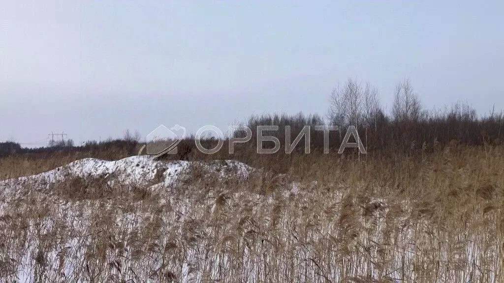 Участок в Тюменская область, Тюмень Поле Чудес садовое товарищество, ... - Фото 1