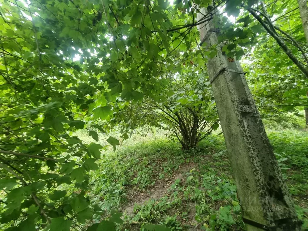 Участок в Кабардино-Балкария, Нальчик Восход СТ, 32 (9.4 сот.) - Фото 2