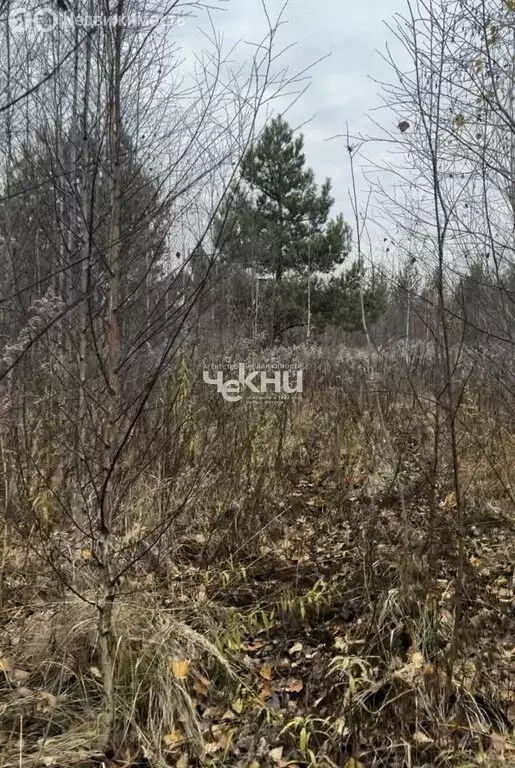 Участок в городской округ Нижний Новгород, село Безводное (10 м) - Фото 2