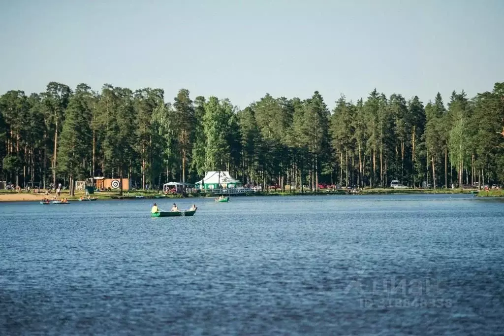 Участок в Ленинградская область, Всеволожский район, Колтушское ... - Фото 0