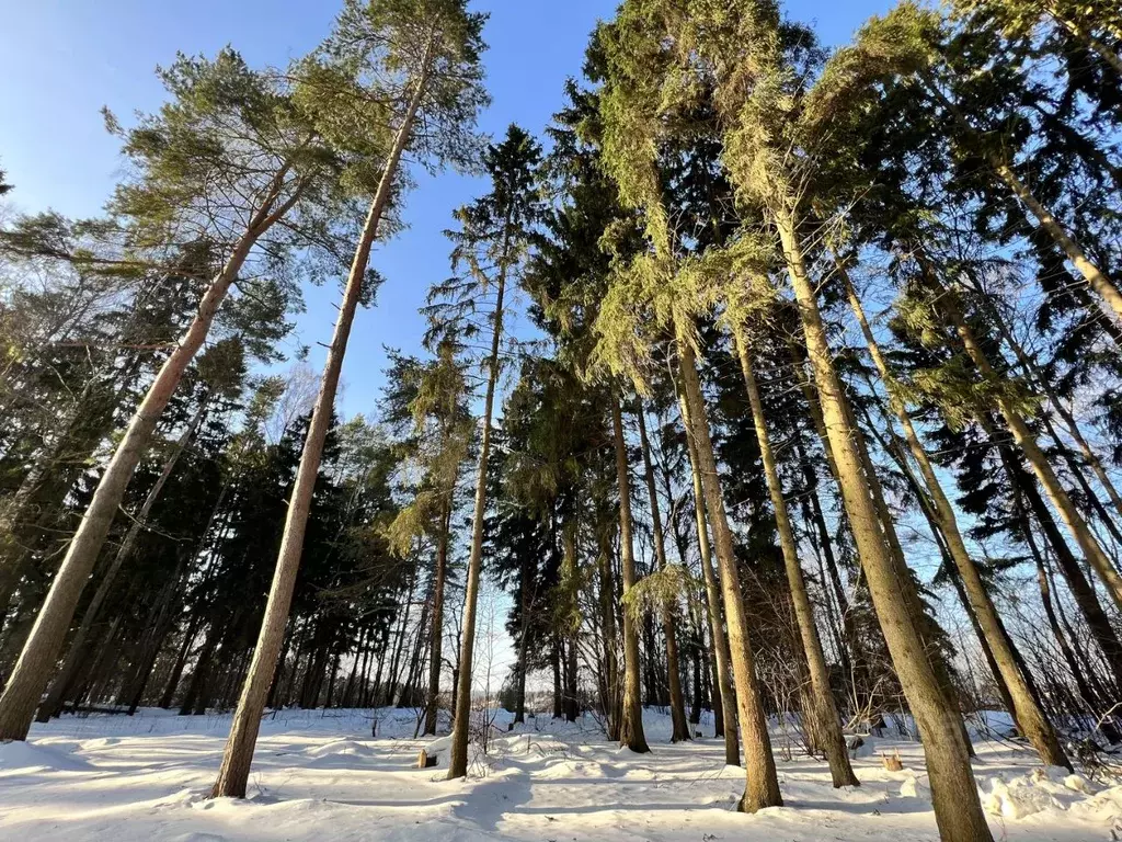 Участок в Московская область, Одинцовский городской округ, д. ... - Фото 1