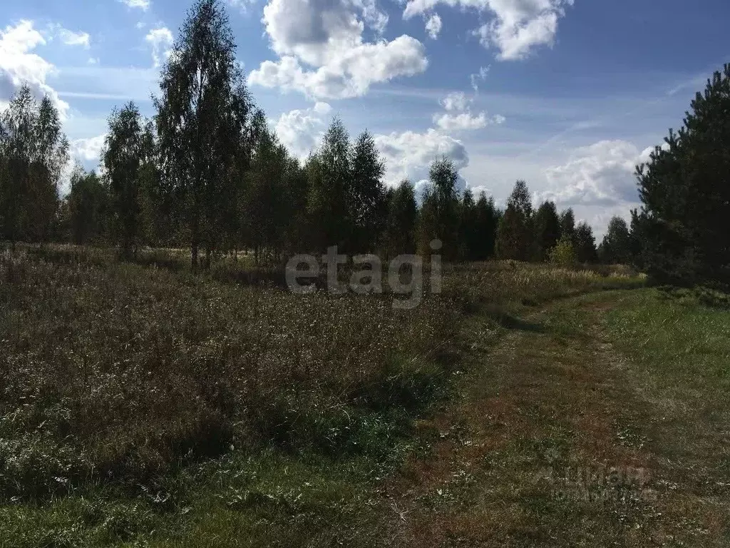 Участок в Ярославская область, Гаврилов-Ямский муниципальный округ, ... - Фото 2
