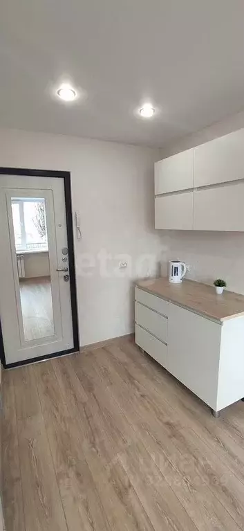 Студия Воронежская область, Воронеж ул. Урицкого, 88 (14.0 м) - Фото 2