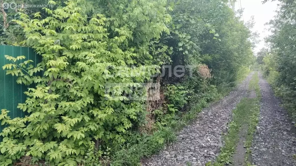 Участок в Липецк, СНТ Сокол-2, Рябиновая улица (3.77 м) - Фото 2