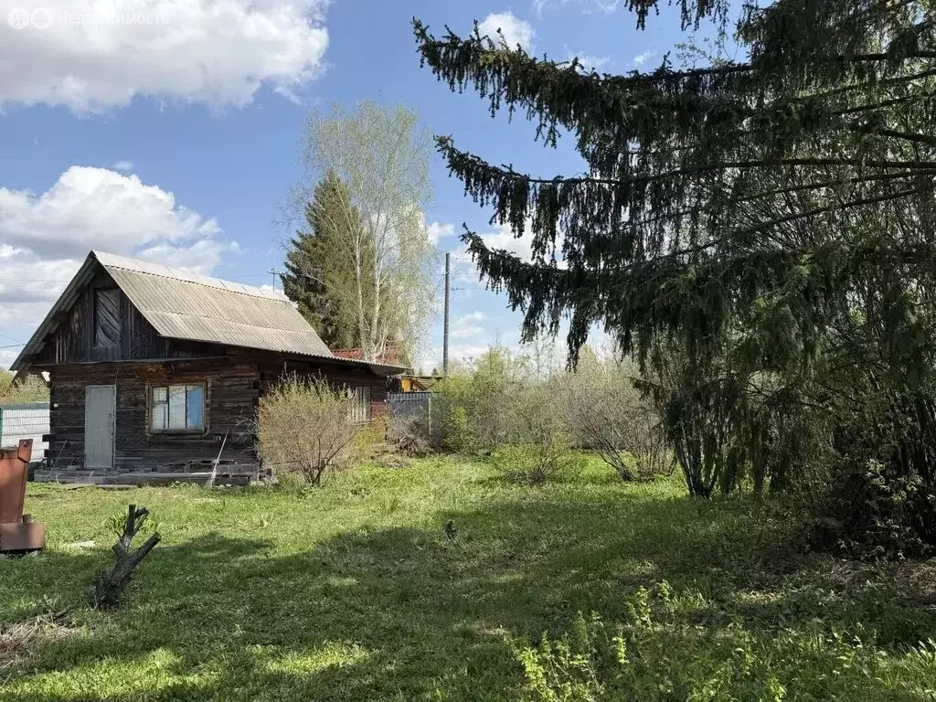 Дом в Тюмень, СНТ Автомобилист, Берёзовая улица (50 м) - Фото 2