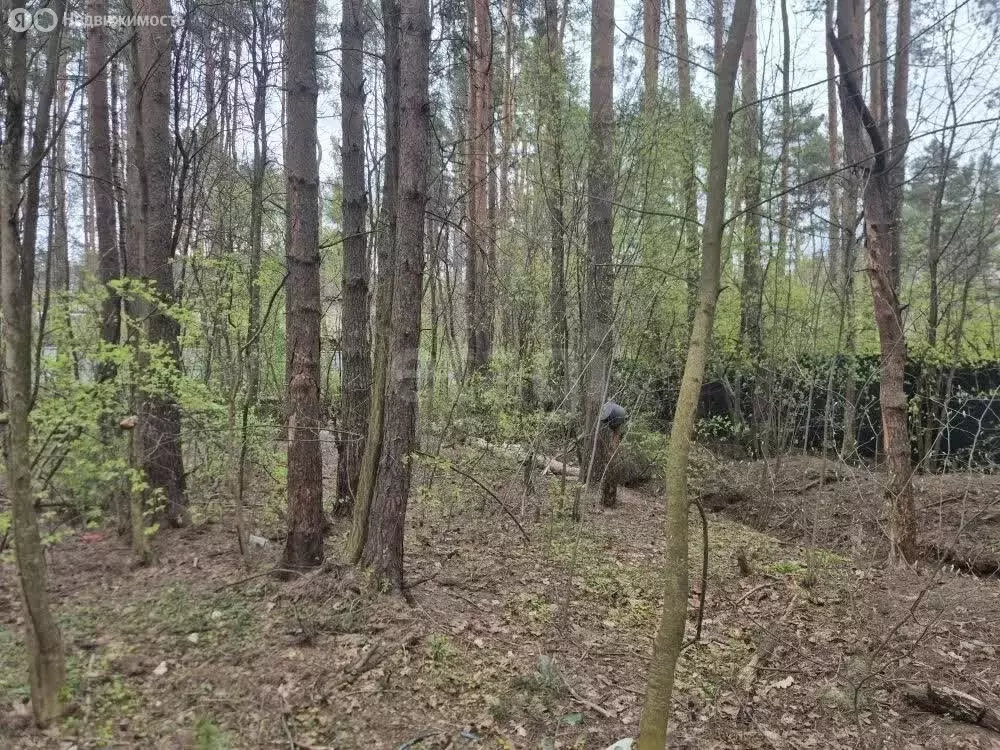 Участок в Всеволожск, проспект Гончарова (11.27 м) - Фото 2