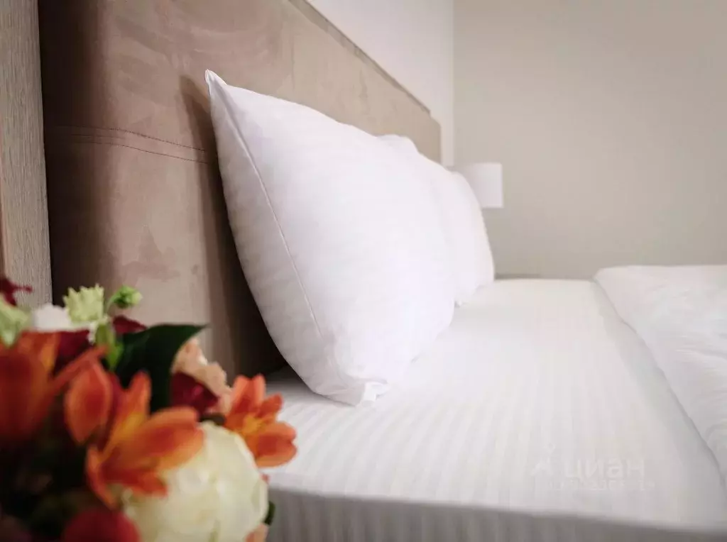 Комната Крым, Алушта аллея Декабристов, 9 (42.0 м) - Фото 2