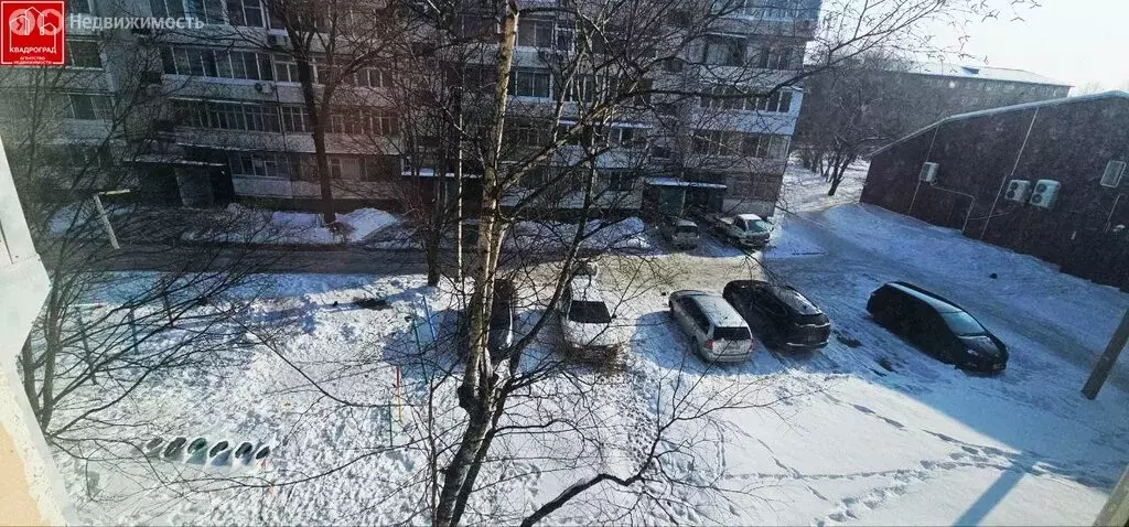 2-комнатная квартира: Арсеньев, Октябрьская улица, 61/1 (51.5 м) - Фото 2