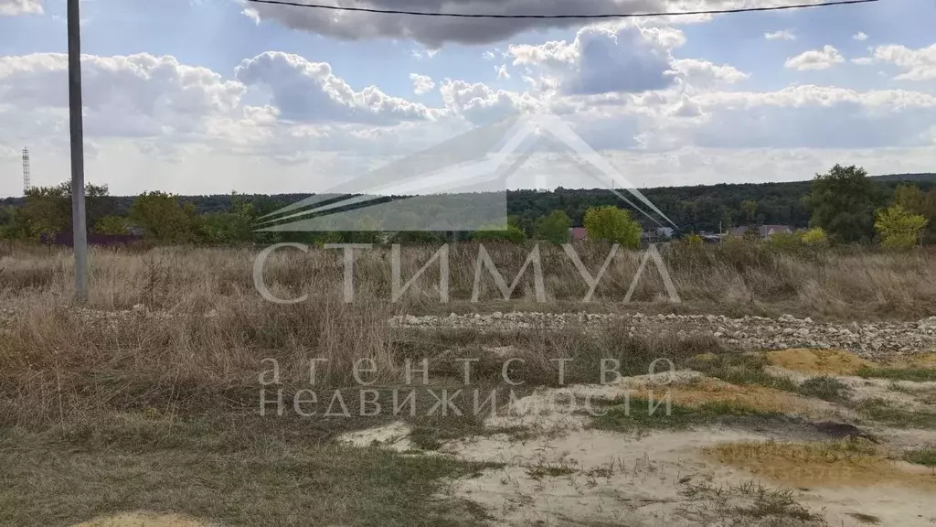 Участок в Саратовская область, Татищевский район, Вязовское ... - Фото 0