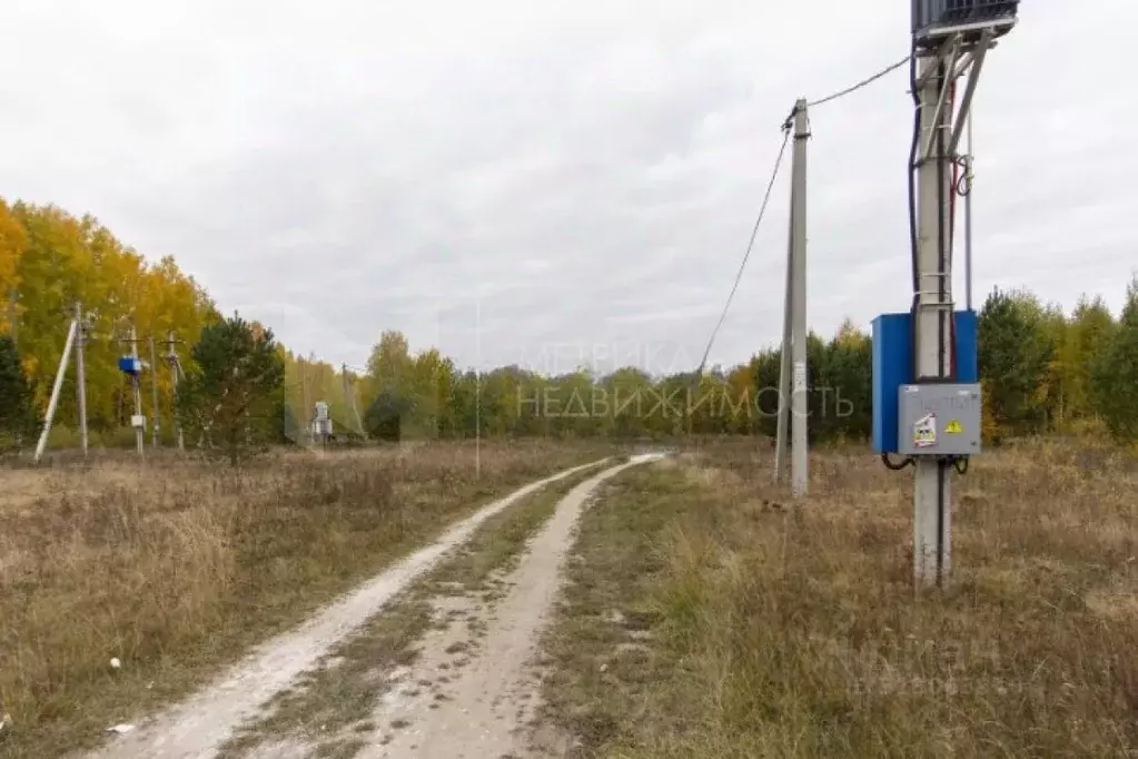 Участок в Тюменская область, Нижнетавдинский район, д. Московка 5-я ... - Фото 0