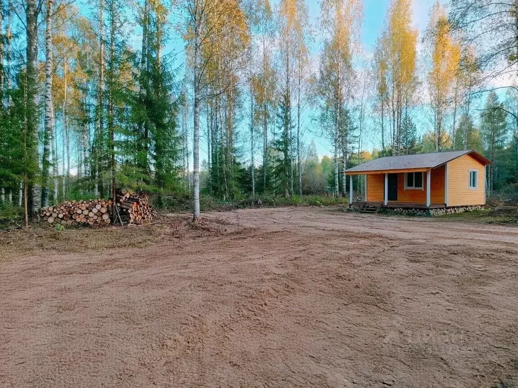 Дом в Ленинградская область, Лодейнопольский район, Янегское с/пос, ... - Фото 2