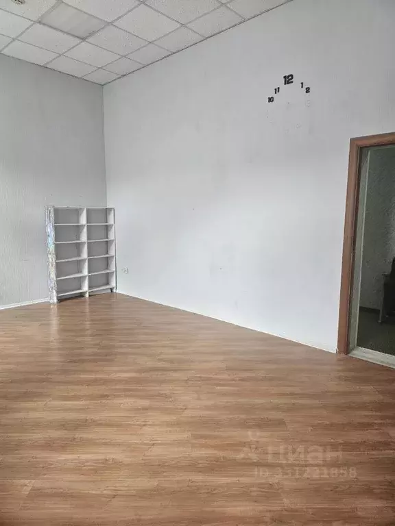Офис в Курганская область, Курган ул. Куйбышева, 87 (30 м) - Фото 2