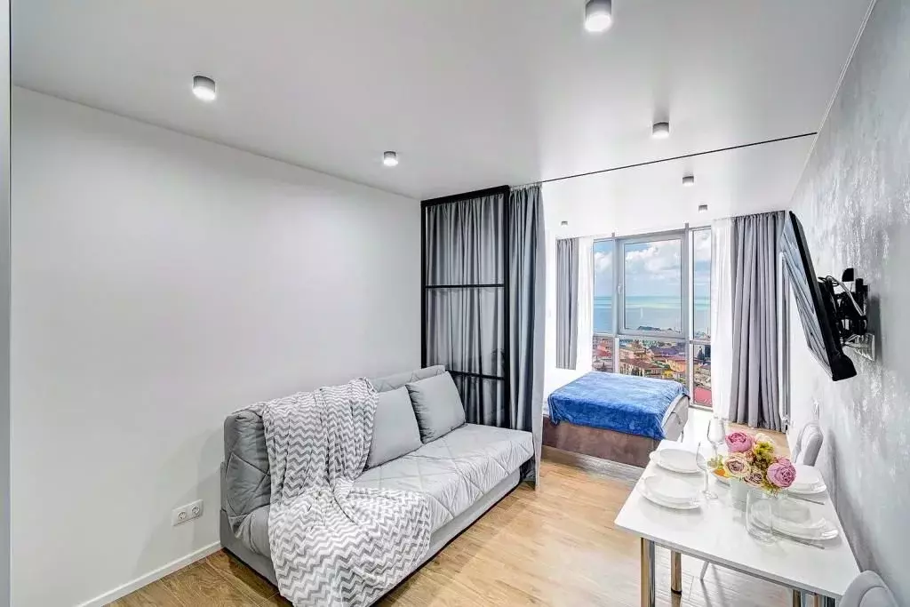 1-к кв. Краснодарский край, Сочи ул. Ленина, 298Бк5 (35.0 м) - Фото 1