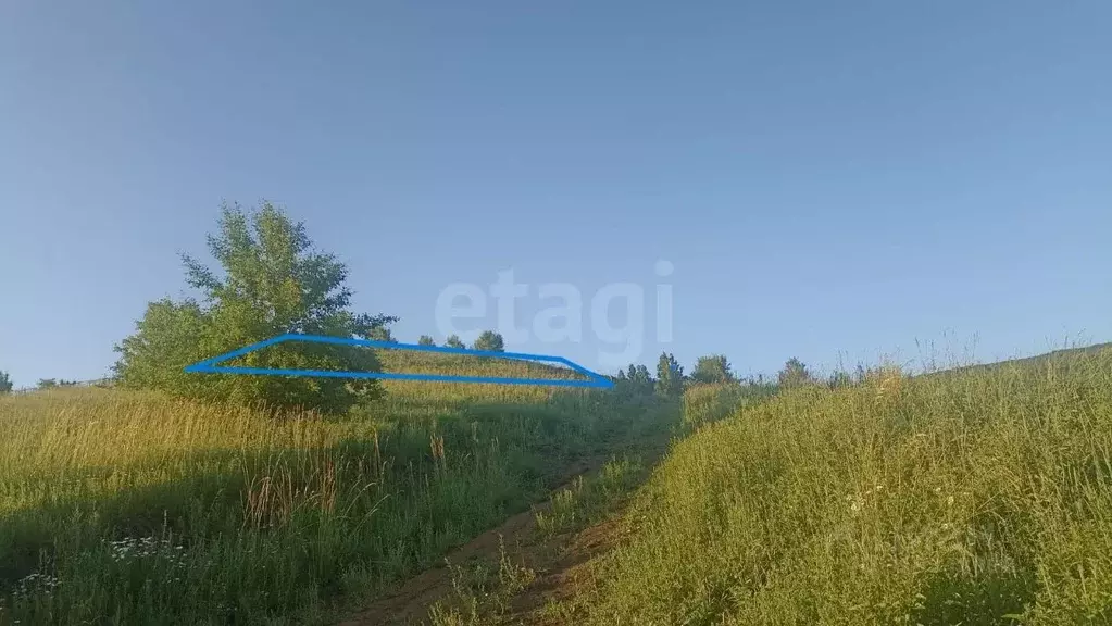 Участок в Алтай, Майминский район, с. Кызыл-Озек ул. Ануйская, 1 ... - Фото 0