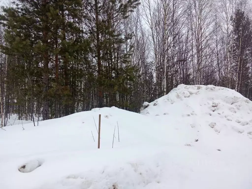 Участок в Ханты-Мансийский АО, Сургутского муниципального района тер., ... - Фото 1