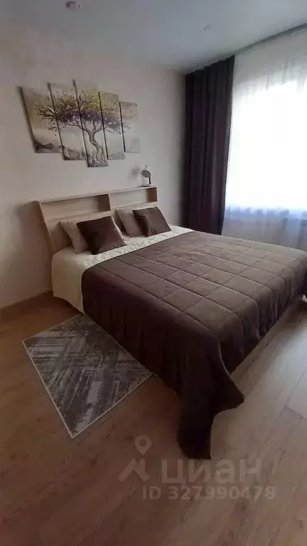 1-к кв. Псковская область, Псковский район, Завеличенская волость, д. ... - Фото 2