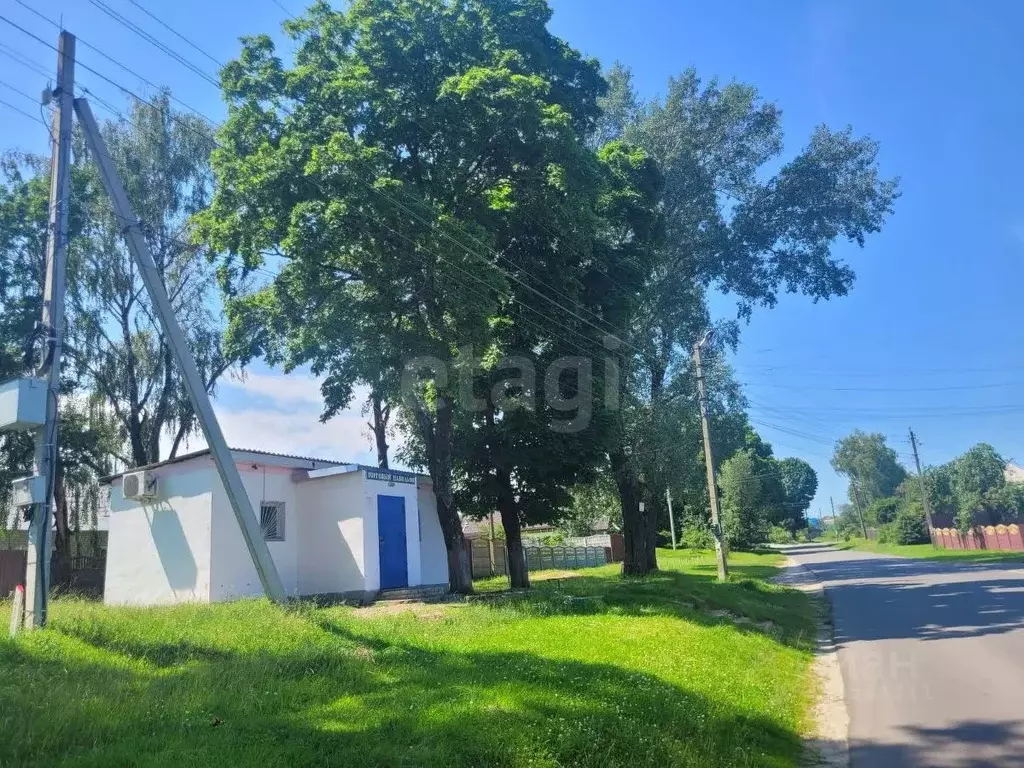 Торговая площадь в Брянская область, Брянский район, Глинищевское ... - Фото 1