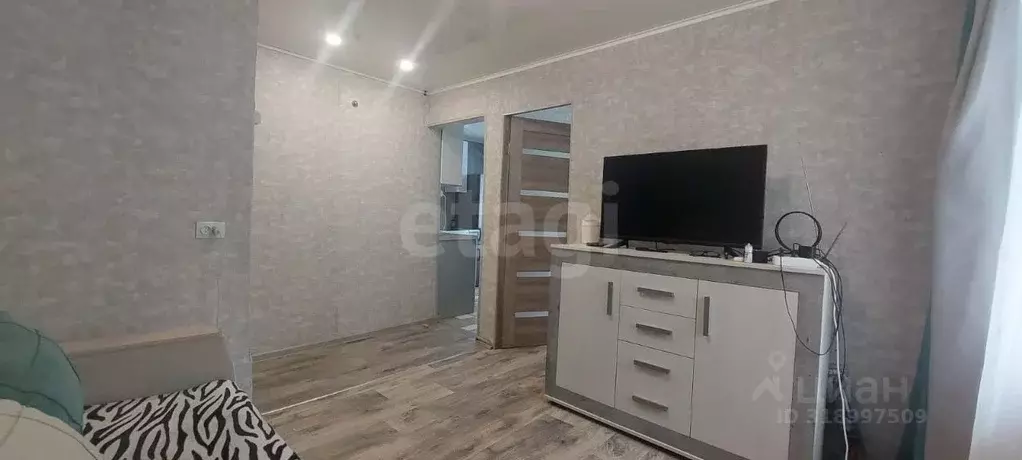 1-к кв. Амурская область, Белогорск ул. 50 лет Комсомола, 29 (29.5 м) - Фото 1